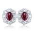 s925 silver natural garnet earrings W